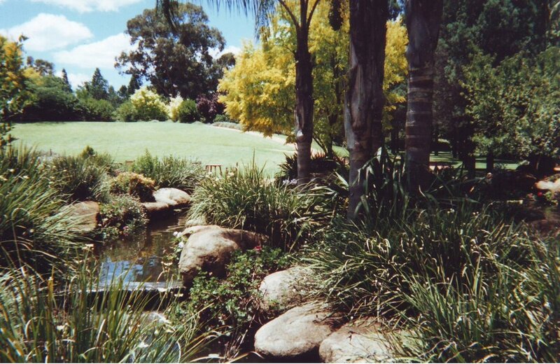 Garden Pond with Rocks — Green