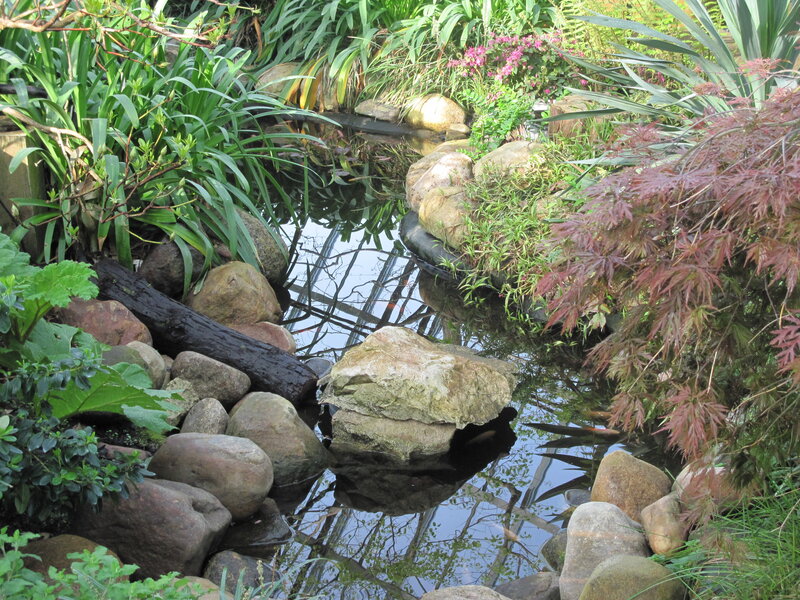 Garden Pond with Rocks