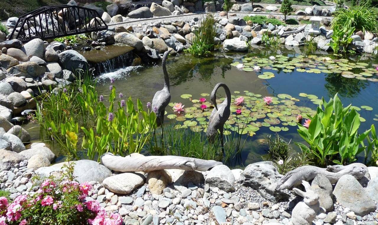 Garden pond with sculptures