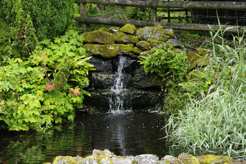 Garden pond with small waterfall