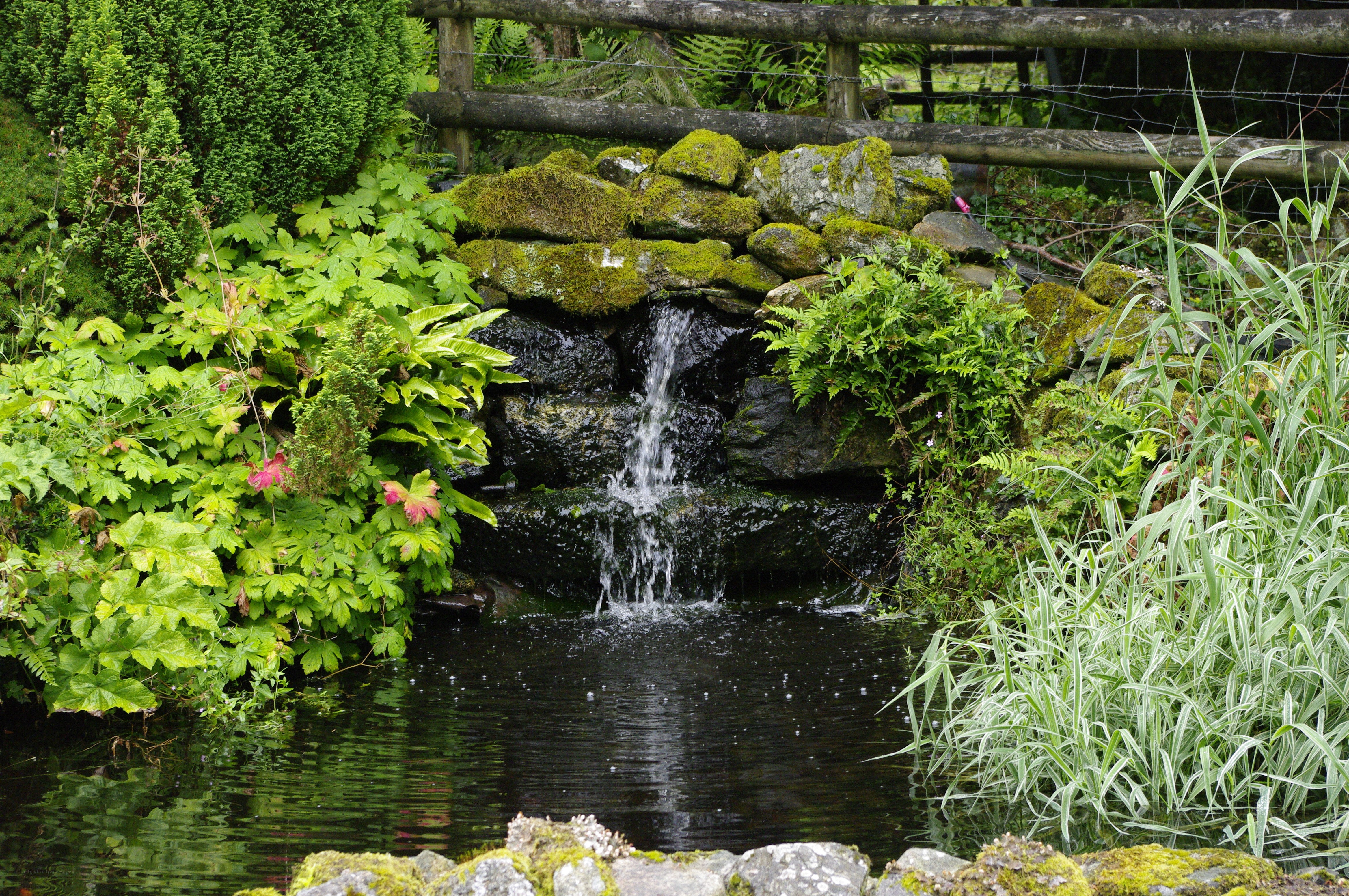 Garden pond with small waterfall