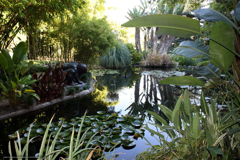 Garden pond with statue and lily pads