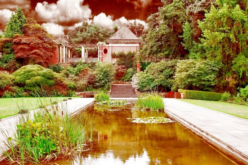 Garden Pond with Steps