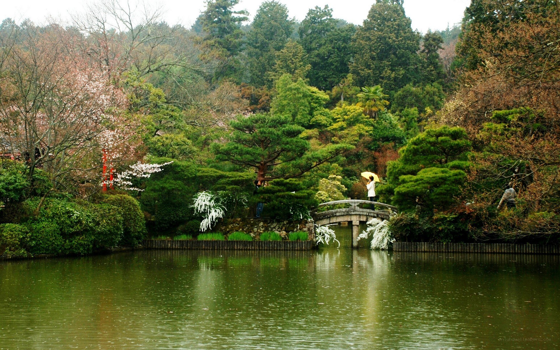Garden pond with stone bridge