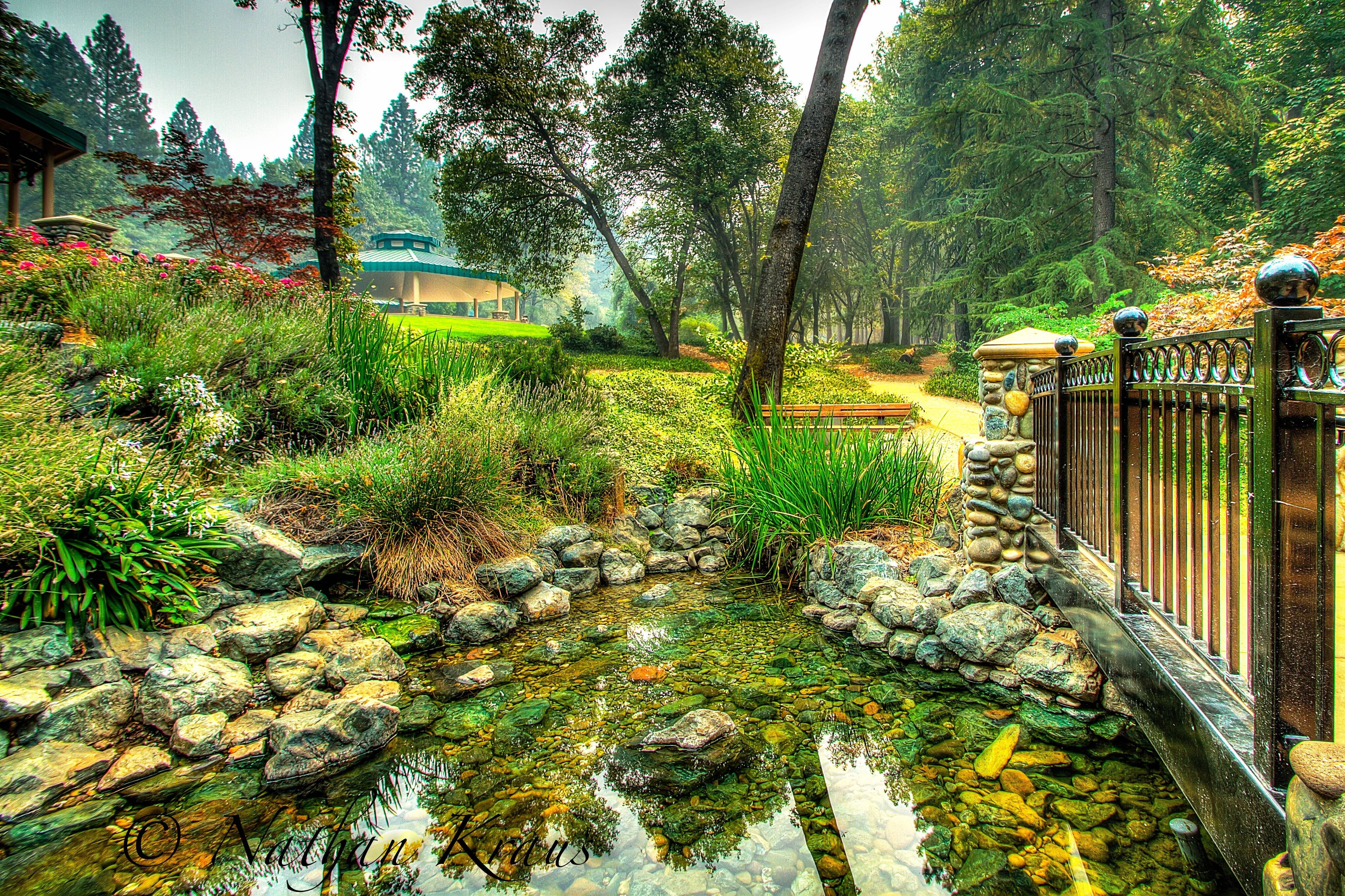 Garden pond with stone bridge