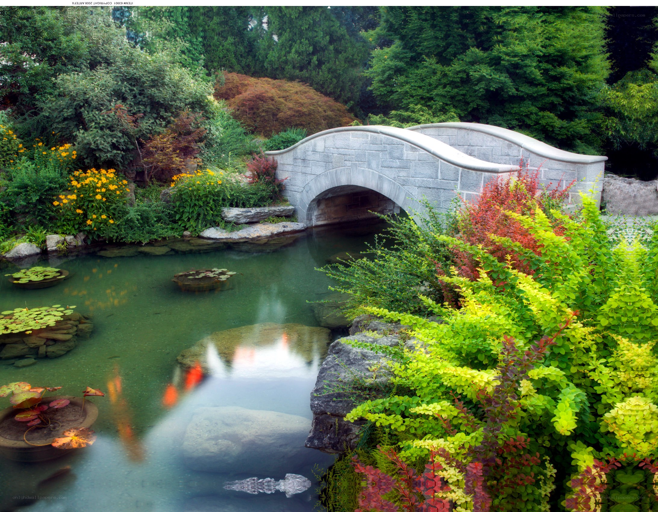 Garden pond with stone bridge