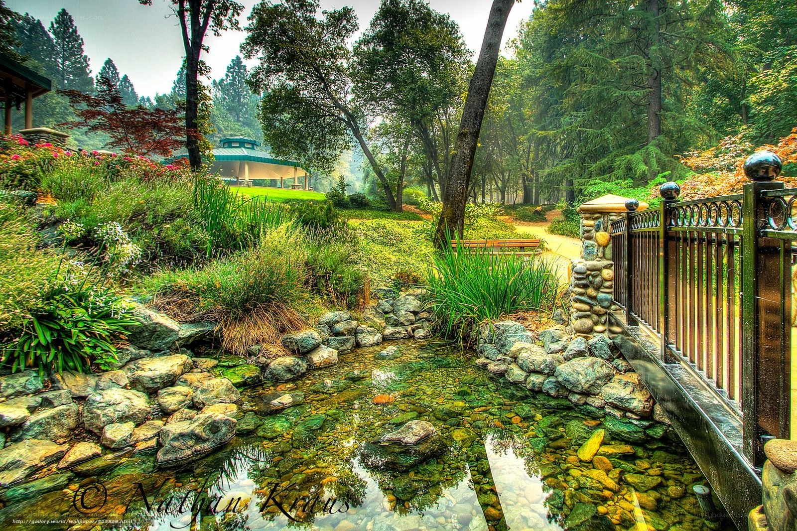 Garden pond with stone bridge