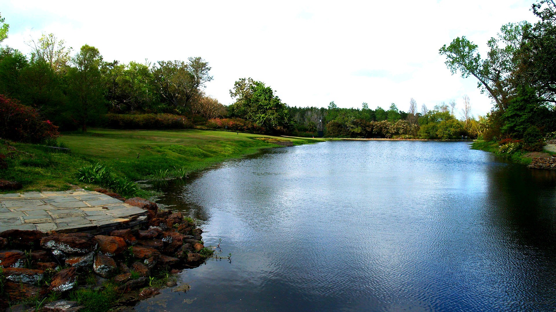 Garden pond with stone path