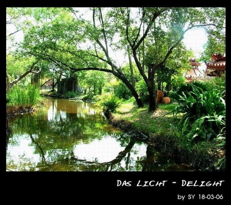 Garden pond with temple view