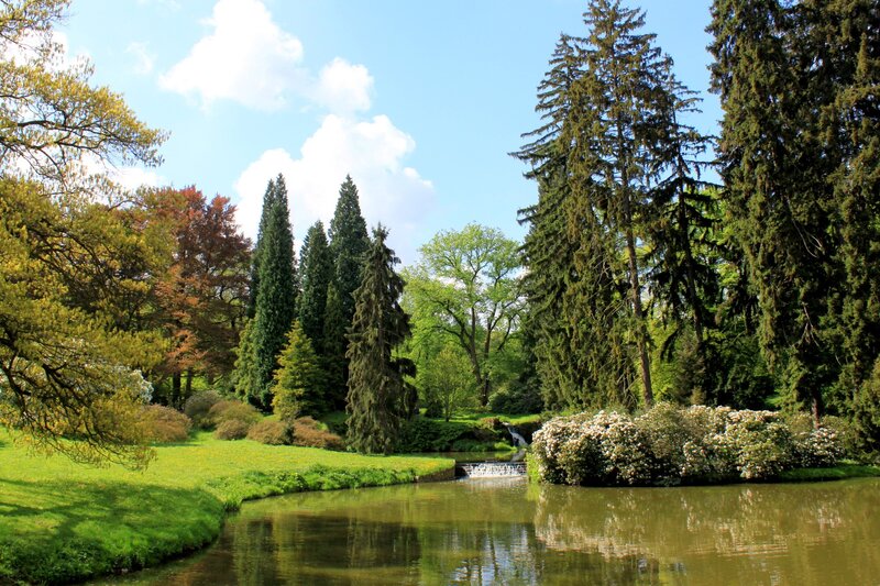 Garden pond with waterfall