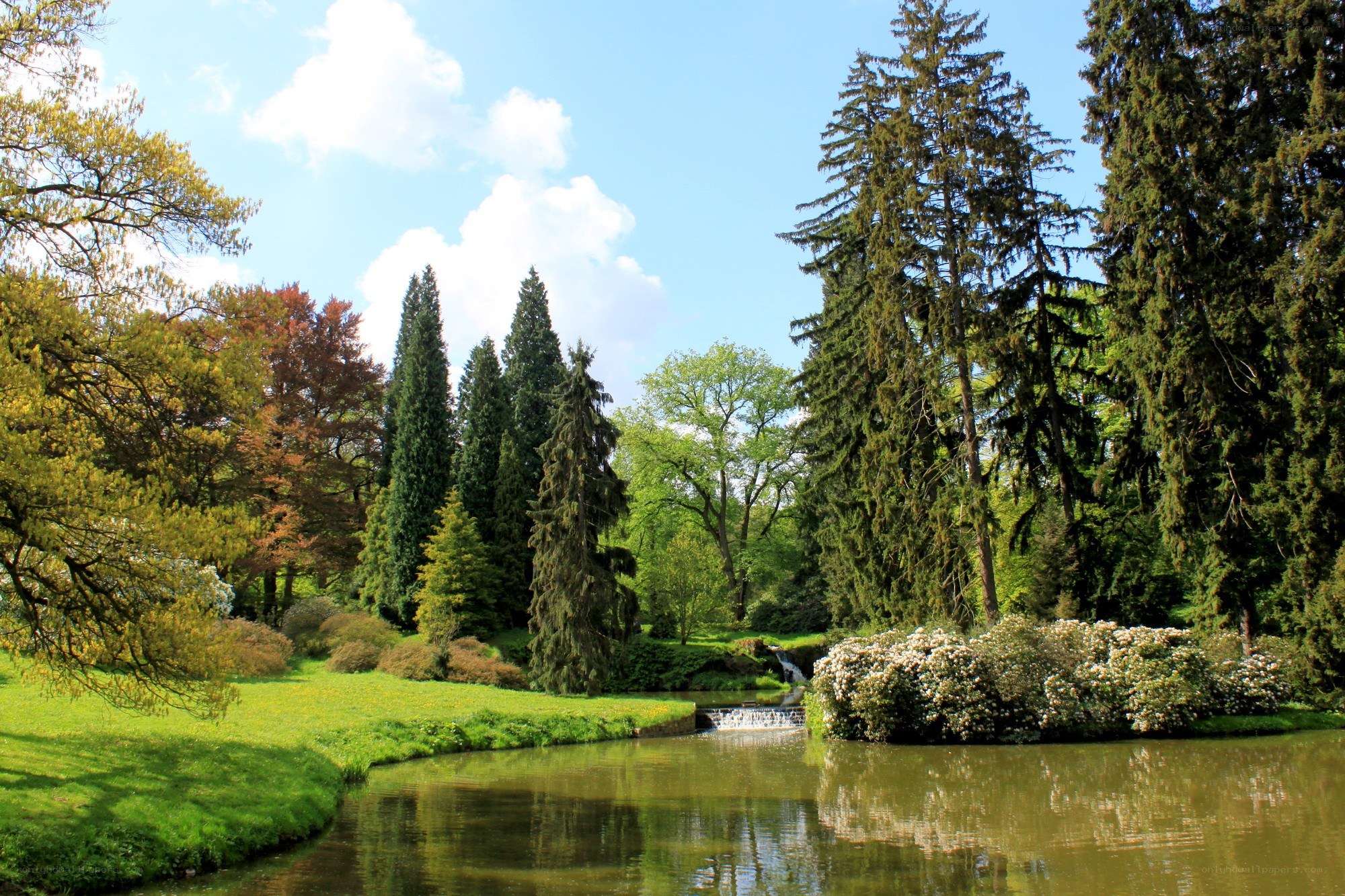 Garden pond with waterfall