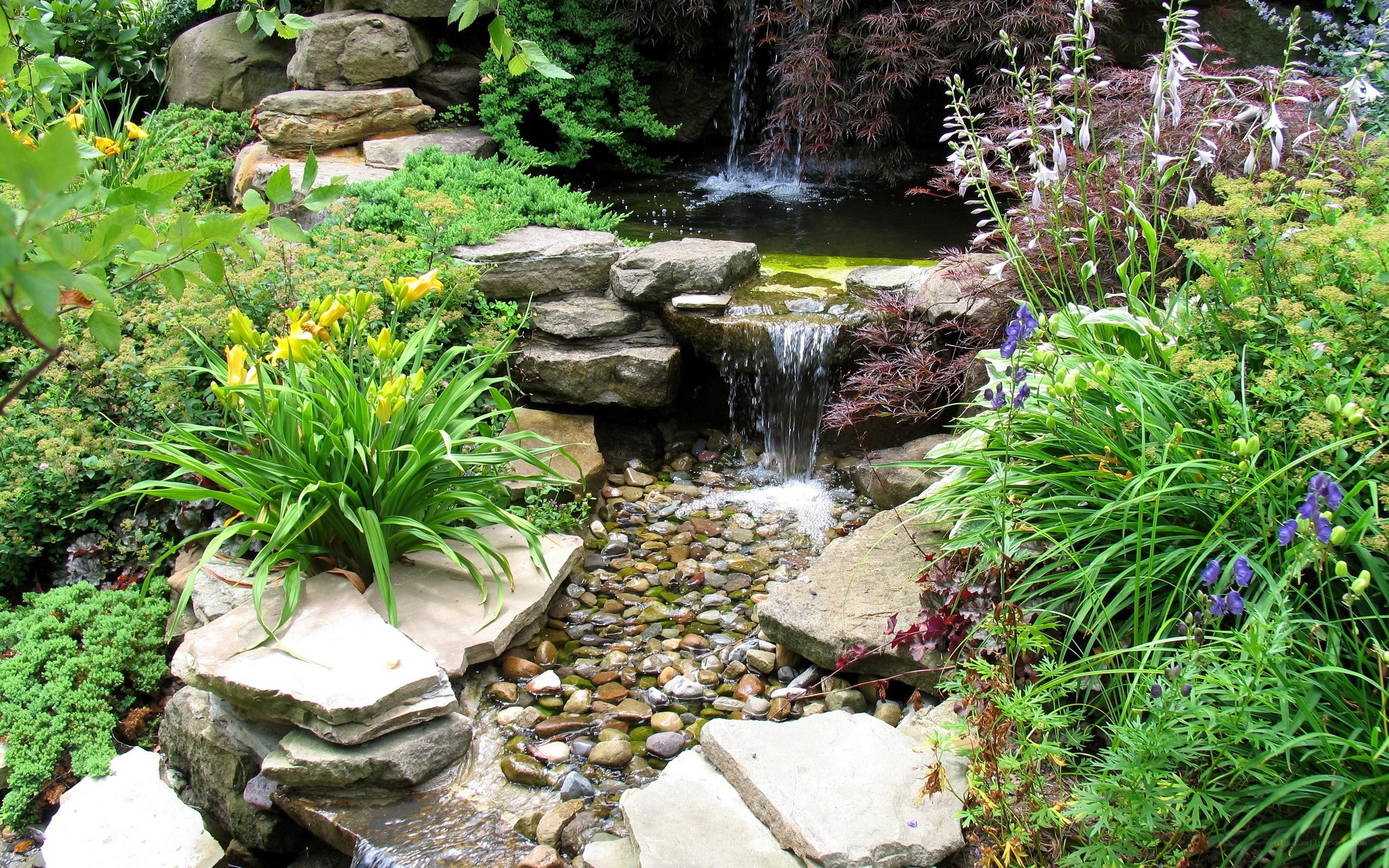 Garden pond with waterfall