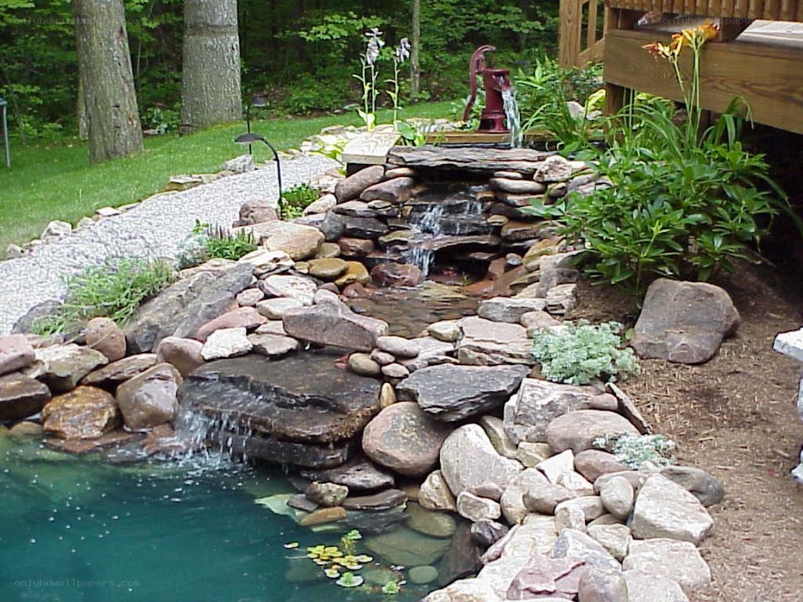 garden pond with waterfall