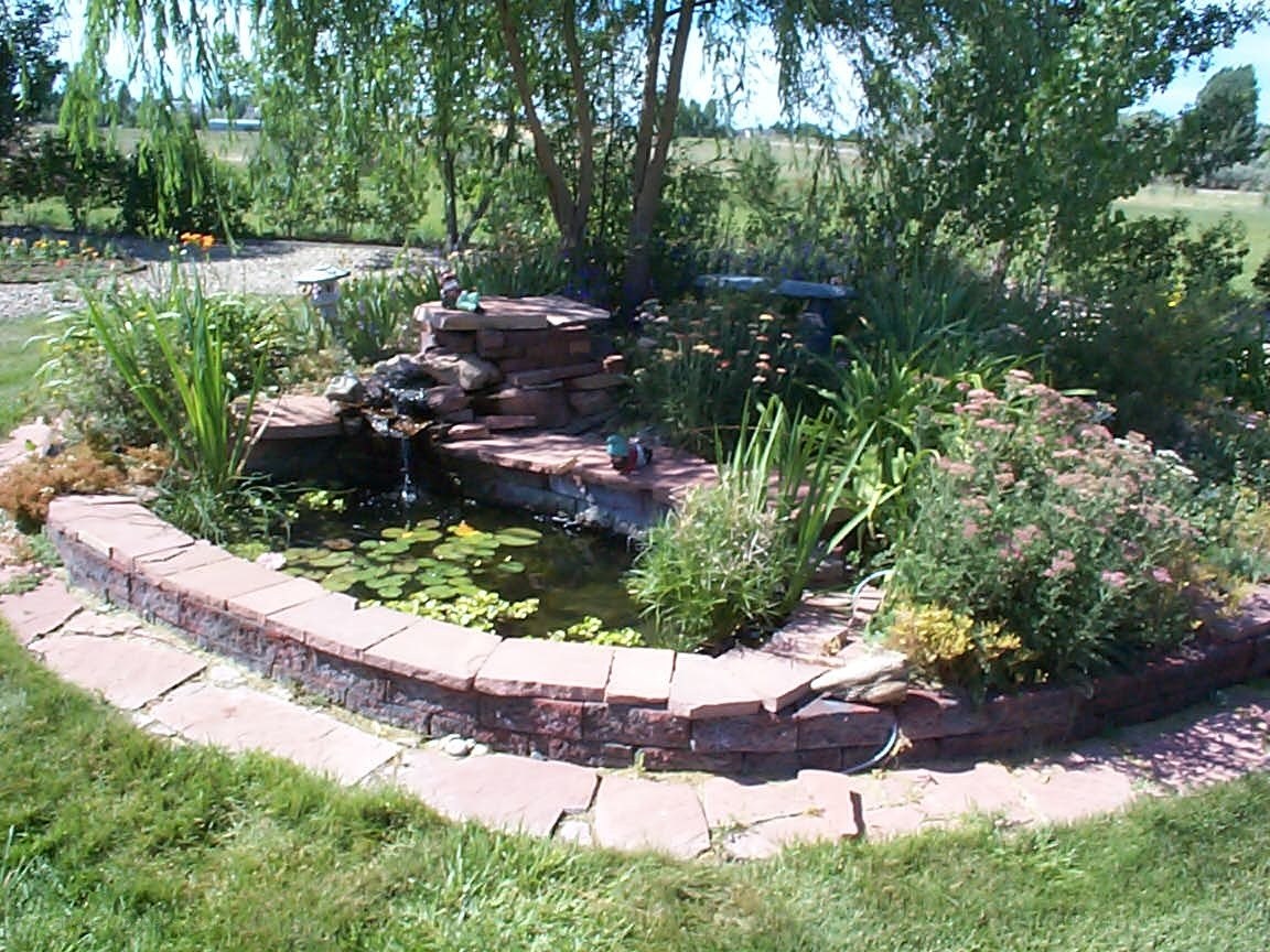 garden pond with waterfall