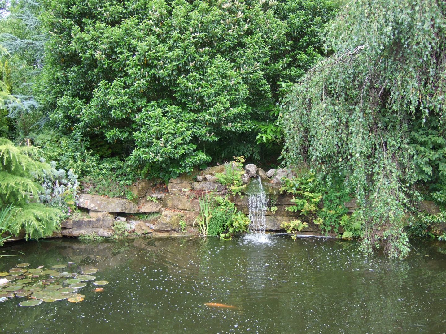 Garden pond with waterfall