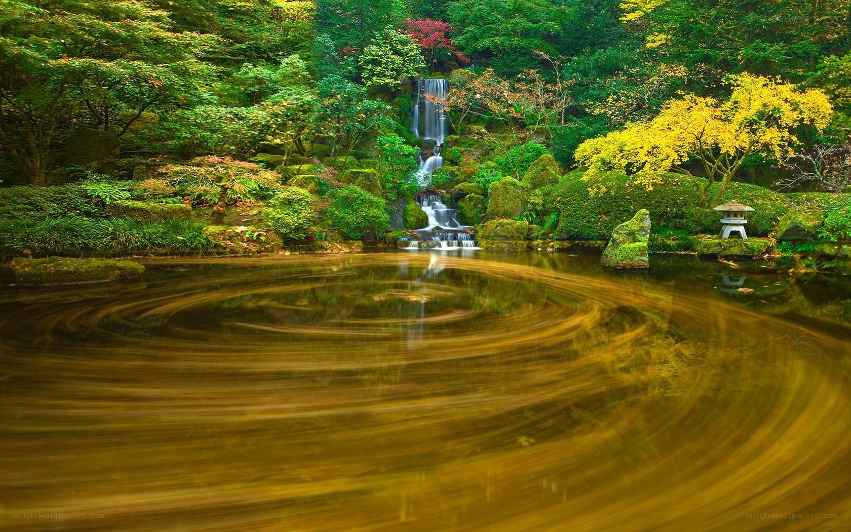 Garden pond with waterfall
