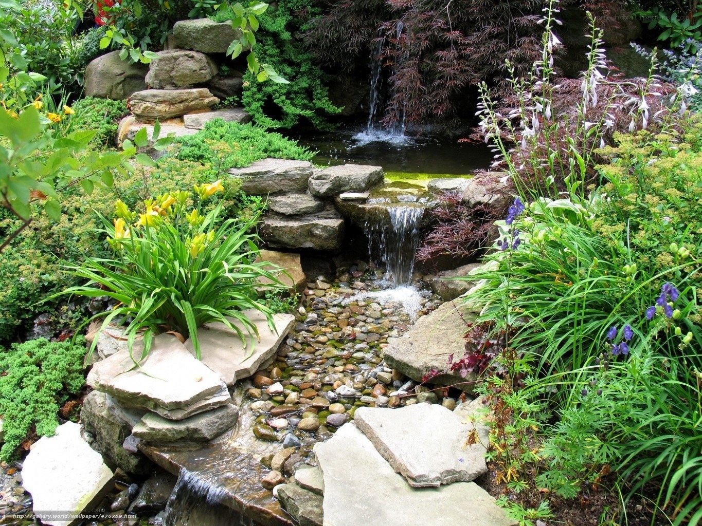 Garden pond with waterfall
