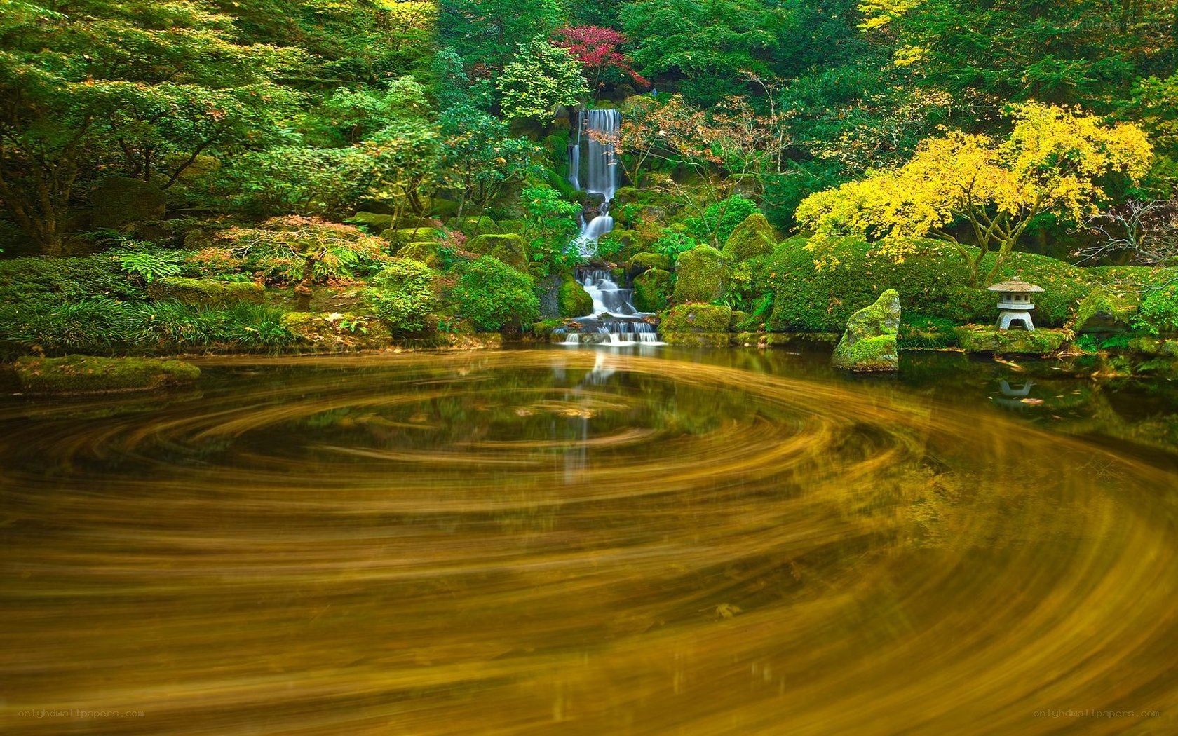 Garden pond with waterfall