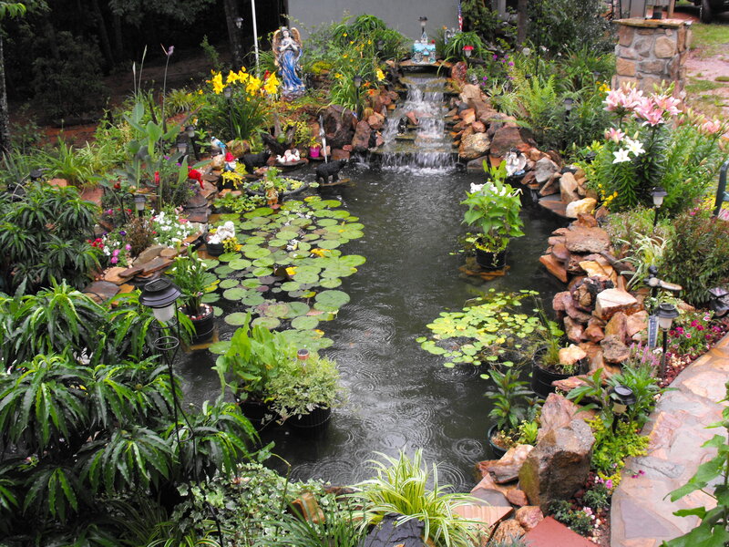 garden pond with waterfall and lilies