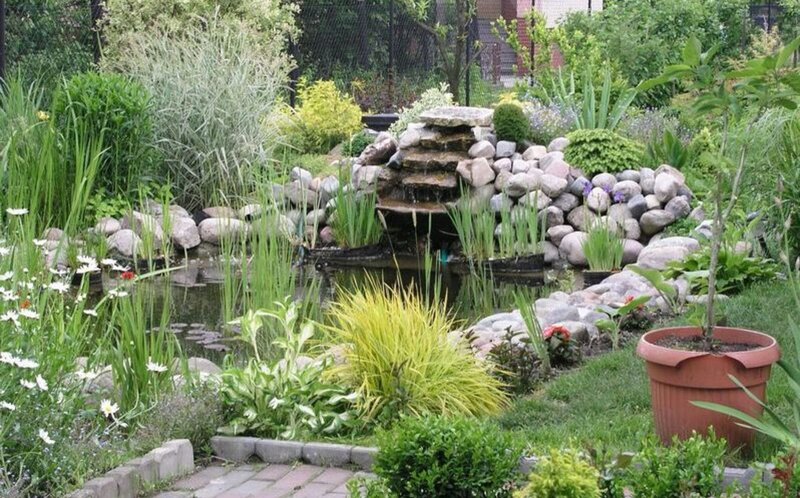 Garden Pond with Waterfall — Green, Serene, Afternoon, Photograph, Plants