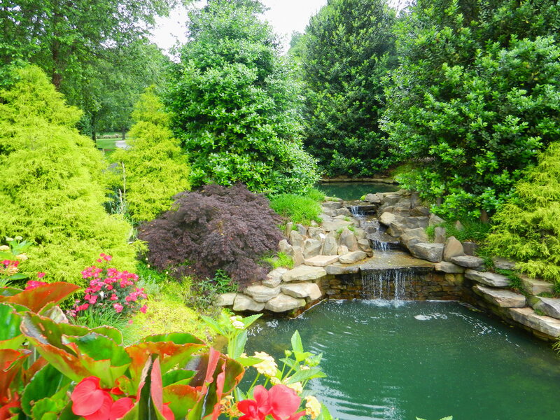 Garden Pond with Waterfall — Green, Serene, Afternoon, Photograph, Trees