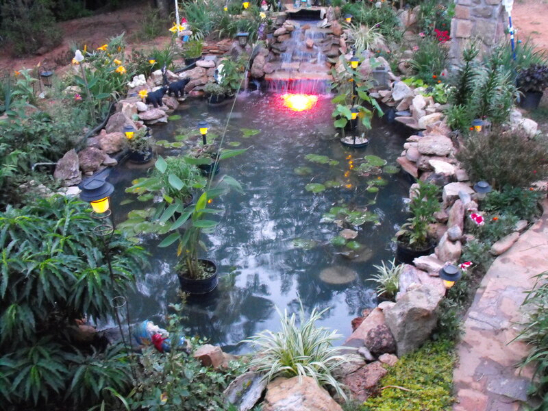 Garden Pond with Waterfall — Green, Serene, Night