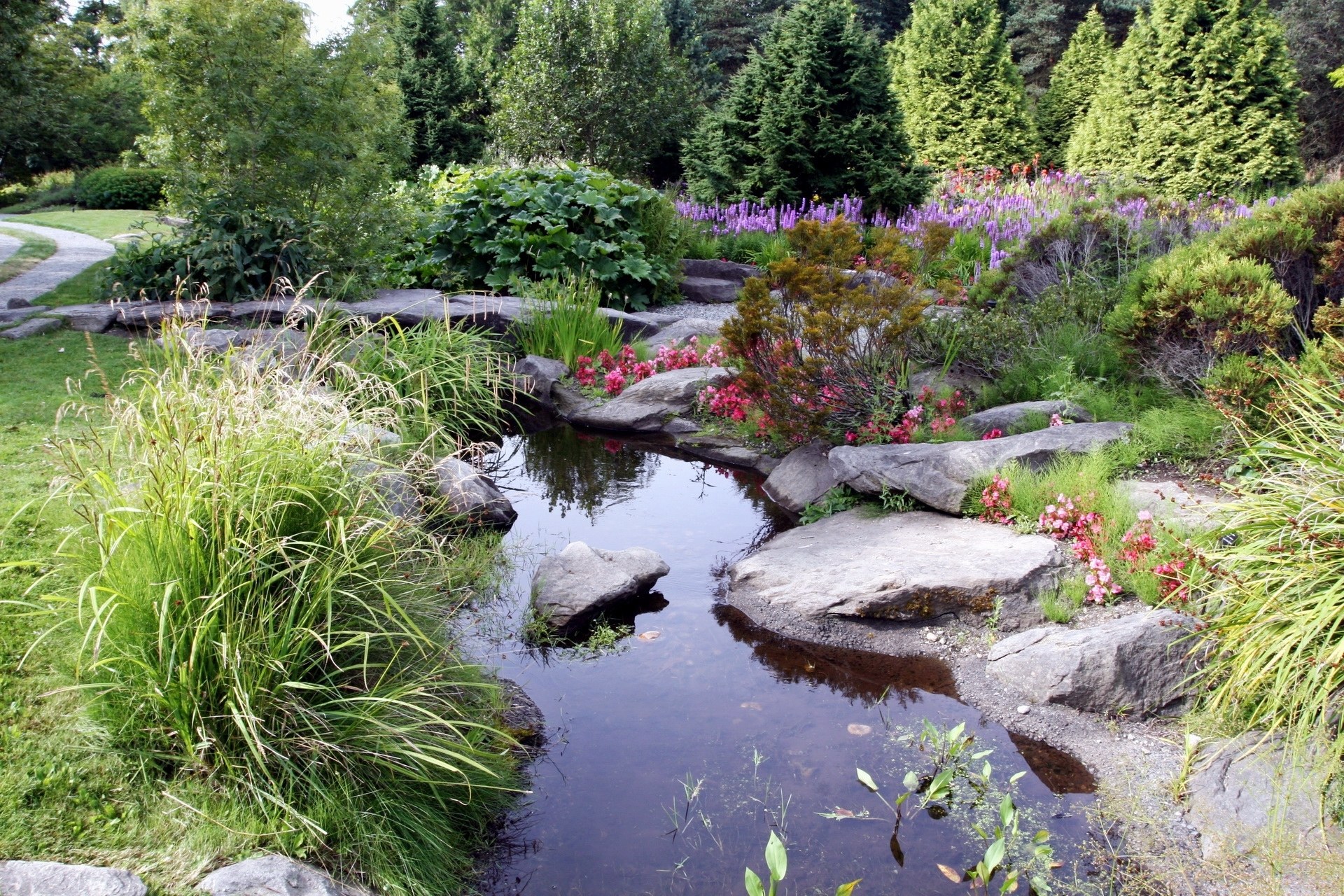 Garden pond with wildflowers