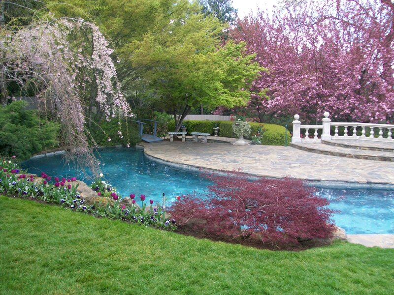 Garden pool with blooming trees