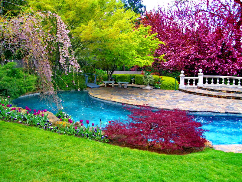 Garden Pool with Flowers