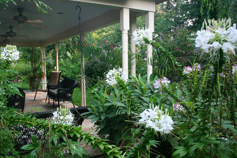 Garden porch with white flowers