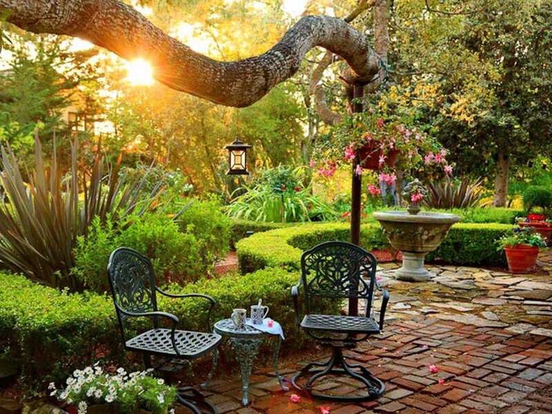 Garden Seating Area — Green, Serene, Sunset, Photograph