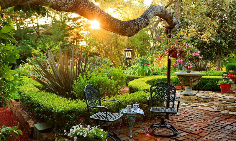 Garden Seating Area — Green, Serene, Sunset