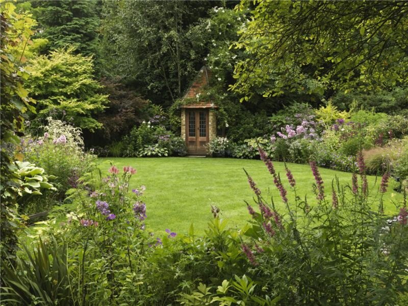 Garden Shed in Garden