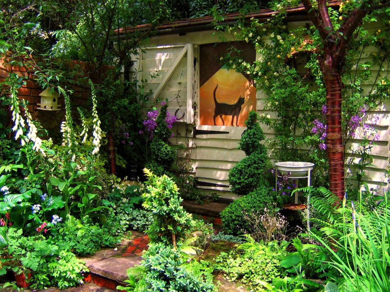Garden shed with cat mural