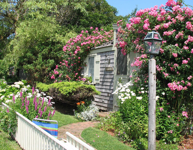 Garden Shed with Roses