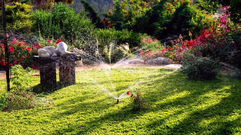 Garden sprinklers watering lawn