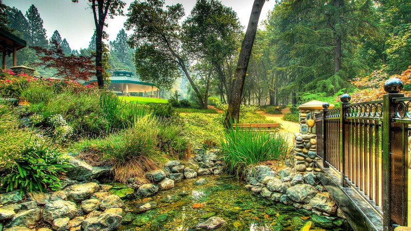 Garden Stream with Bridge — Green, Serene, Morning