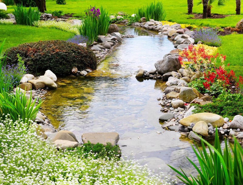 Garden Stream with Flowers — Green, Serene, Afternoon, Photograph