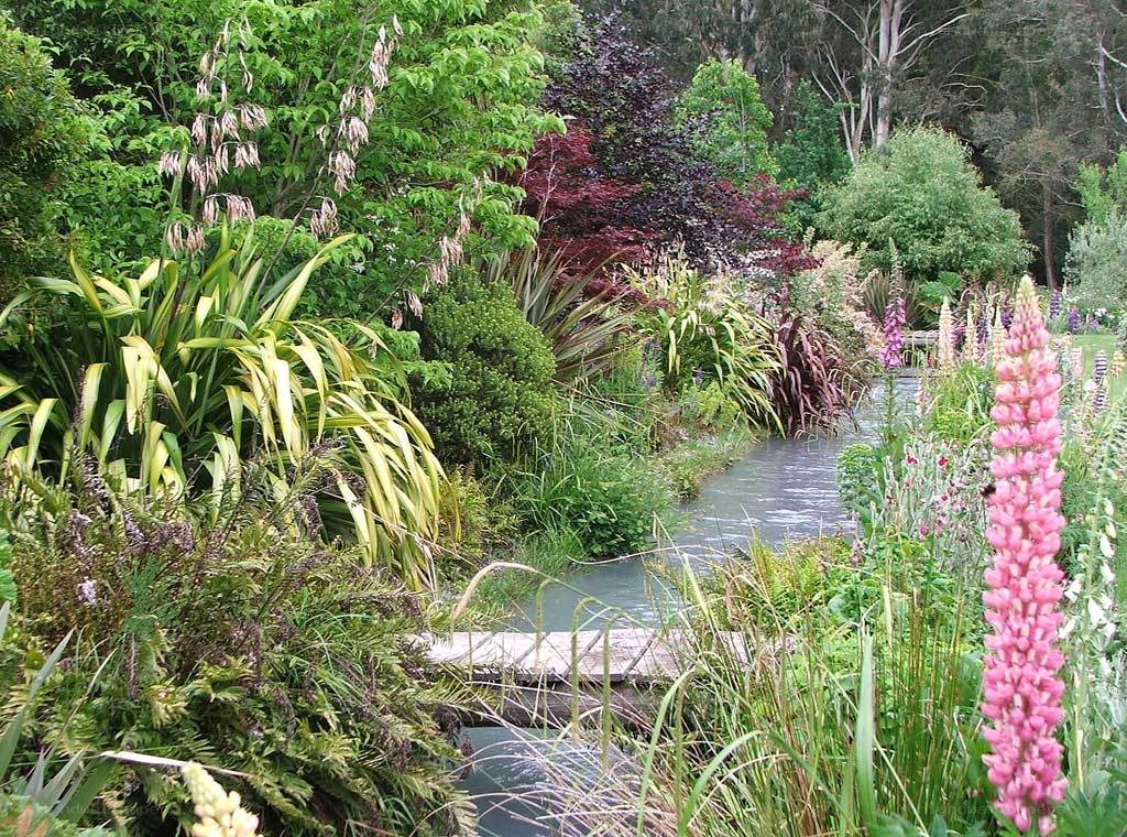 Garden stream with lush plants