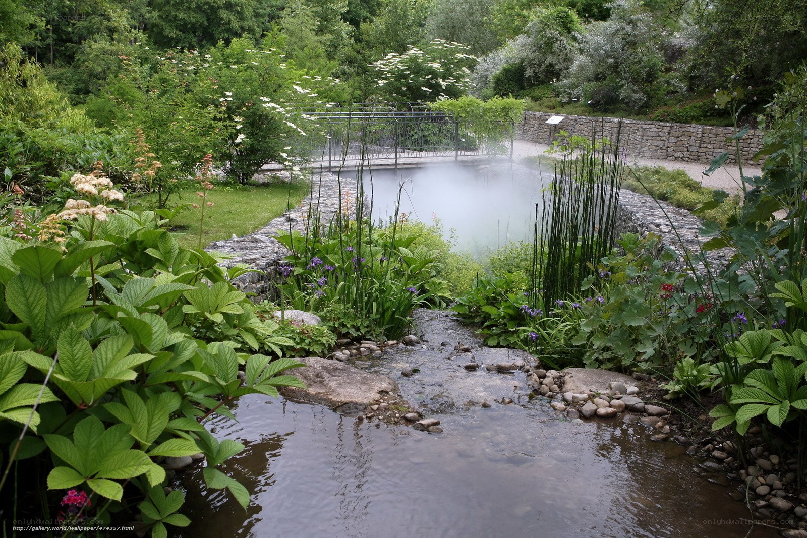 Garden stream with mist