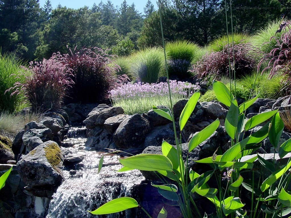 Garden stream with ornamental grasses