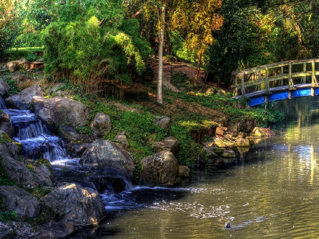 Garden stream with wooden bridge