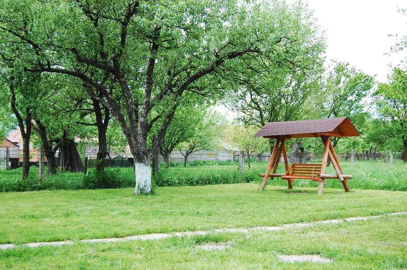 Garden swing under trees
