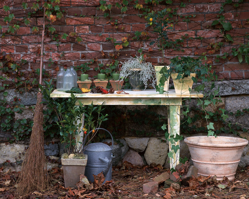 Garden table with plants and ivy