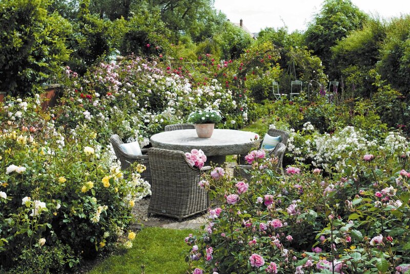 Garden Table with Roses