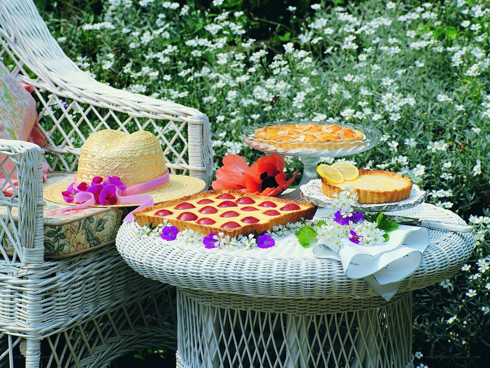 Garden tea party with tarts