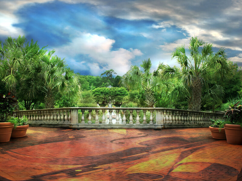 Garden terrace with palm trees