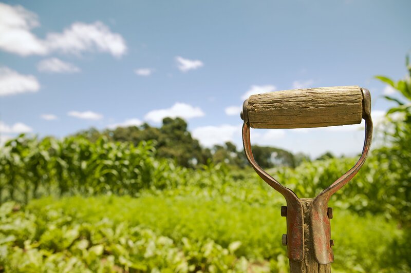 Garden tool in a field
