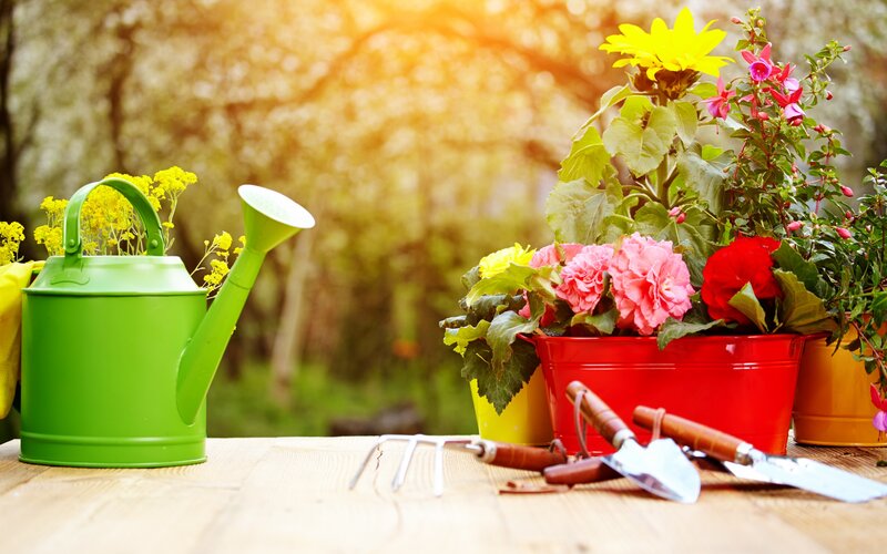Garden Tools and Flowers — Green, Serene, Afternoon, Photograph