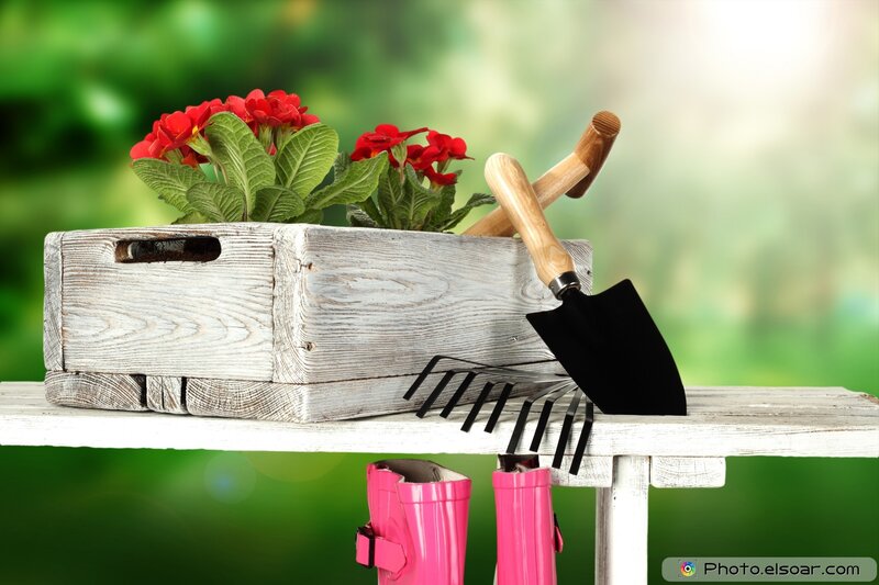 Garden Tools and Flowers — Green, Serene, Afternoon